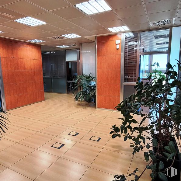 Office for sale & for rent at Calle María Tubau, Fuencarral - El Pardo, Madrid, 28050 with door, houseplant, plant, property, architecture, interior design, flowerpot, floor, flooring and hall around