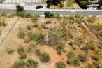 Land for sale at Calle Valde Hondillo, Cabanillas del Campo, Guadalajara, 19171 with plant, plant community, ecoregion, tree, land lot, vegetation, biome, grass, vehicle and landscape around