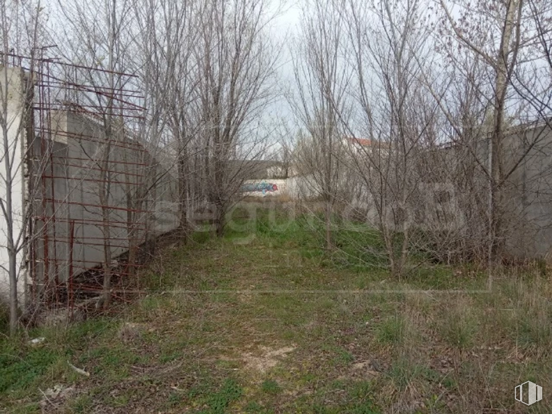 Land for sale at Calle Cruz Caídos, 12, Lozoyuela-Navas-Sieteiglesias, Madrid, 28752 with plant, twig, land lot, natural landscape, tree, grass, landscape, shrub, sky and wood around