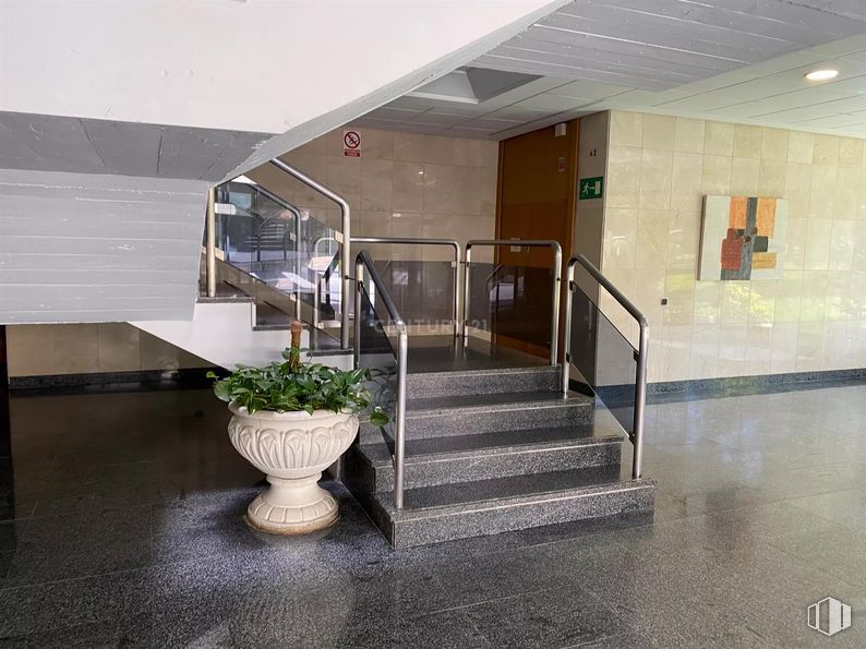 Oficina en alquiler y venta en Edificio Ecu, Calle Pollensa, 6, Las Rozas de Madrid, Madrid, 28230 con puerta, planta de interior, maceta, planta, interiorismo, suelos, suelo, escaleras, suelo de baldosas y hall alrededor