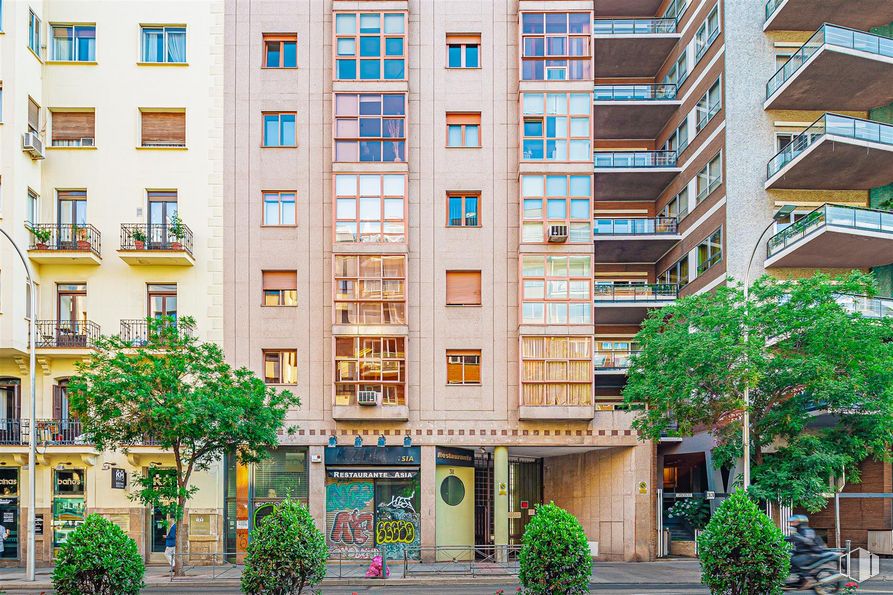 Retail for sale at Calle O´Donnell, Salamanca, Madrid, 28009 with plant, building, property, window, green, fixture, architecture, urban design, neighbourhood and residential area around