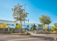 Office for rent at Calle Vicente Aleixandre, 1, Las Rozas de Madrid, Madrid, 28230 with sky, plant, building, road surface, tree, asphalt, neighbourhood, residential area, urban design and street light around