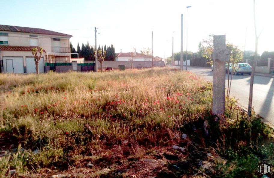 Land for sale at Calle Calvario, 23, Pozoamargo, Cuenca, 28012 with house, plant, sky, plant community, building, land lot, window, grass, tree and street light around