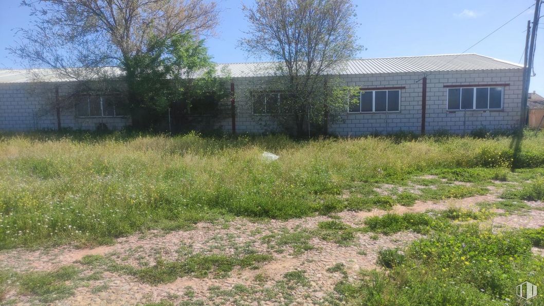 Industrial for sale at Casco urbano, Turleque, Toledo, 45789 with window, plant, sky, plant community, natural landscape, tree, grass, groundcover, landscape and real estate around