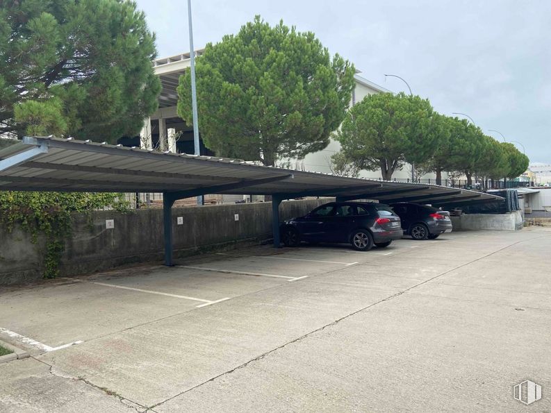 Industrial for sale & for rent at Zona Colmenar Viejo, Colmenar Viejo, Madrid, 28770 with car, sky, wheel, vehicle, tire, plant, tree, road surface, building and motor vehicle around