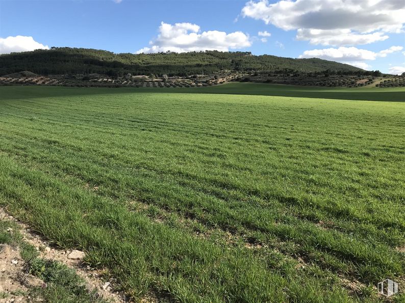 Land for sale at Finca Valdeapa, Chiloeches, Guadalajara, 19160 with cloud, sky, plant, natural landscape, land lot, tree, grass, agriculture, grassland and cumulus around