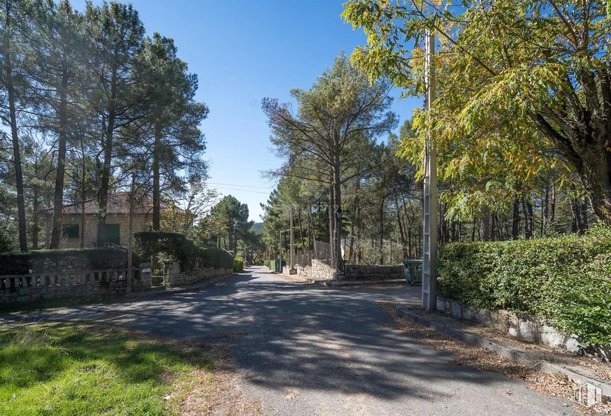 Land for sale at Calle Pino, Las Navas del Marqués, Ávila, 05239 with plant, sky, shade, natural landscape, tree, road surface, land lot, asphalt, grass and landscape around