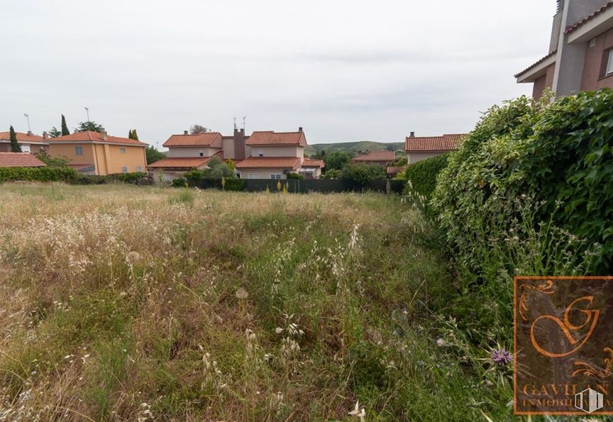 Suelo en venta en Calle Espliego, Fresno de Torote, Madrid, 28615 con edificio, cielo, planta, propiedad, ventana, comunidad de plantas, nube, paisaje natural, flor y lote de tierra alrededor