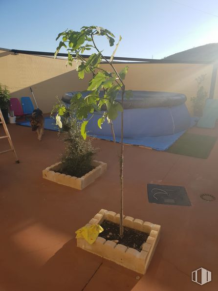 Industrial for sale at Calle Bronce, 14, Borox, Toledo, 45222 with houseplant, flowerpot, shade, sky, biome, urban design, landscape, wood, tints and shades and tree around