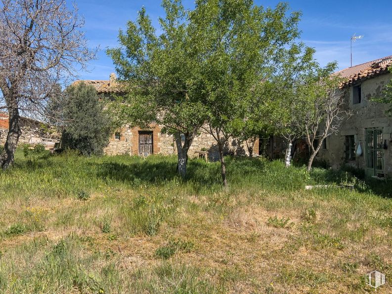 Land for sale at Zona Centro, Cardeñosa, Ávila, 05320 with house, plant, sky, window, branch, natural landscape, land lot, vegetation, tree and neighbourhood around