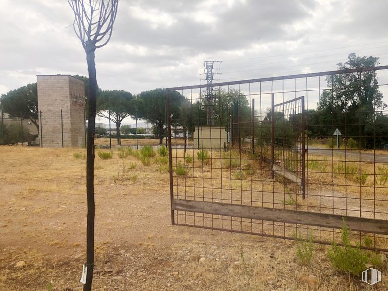 Suelo en venta en Carretera Ajalvir, Alcalá de Henares, Madrid, 28806 con edificio, cielo, planta, nube, árbol, valla, lote de terreno, alambrada, hierba y paisaje alrededor