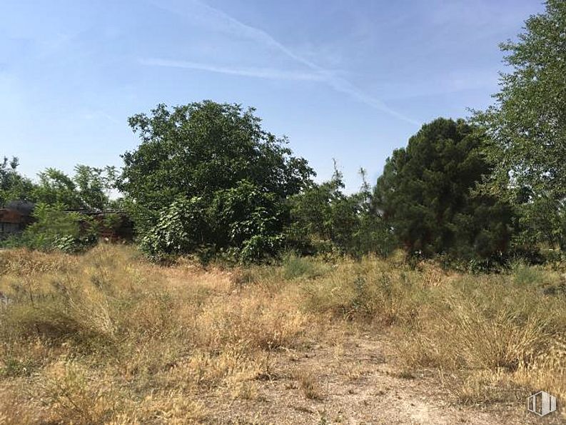 Suelo en venta en Polígono Fin de Semana, San Blas - Canillejas, Madrid, 28022 con planta, cielo, comunidad de plantas, nube, paisaje natural, árbol, terreno, planta leñosa, arbusto y paisaje alrededor