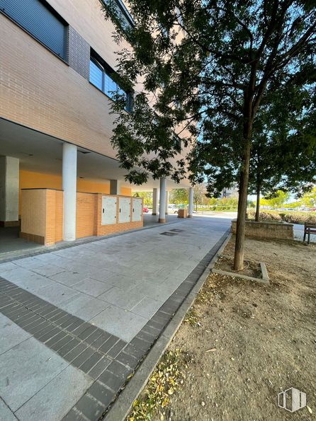 Retail for rent at Avenida Víctimas del Terrorismo, Alcalá de Henares, Madrid, 28806 with window, building, plant, tree, road surface, shade, asphalt, sunlight, urban design and neighbourhood around