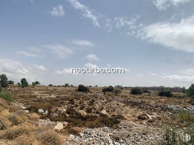 Land for sale at Calle Albacete, Ávila, 05004 with animal, plant, sky, cloud, plant community, natural landscape, land lot, tree, bedrock and grass around