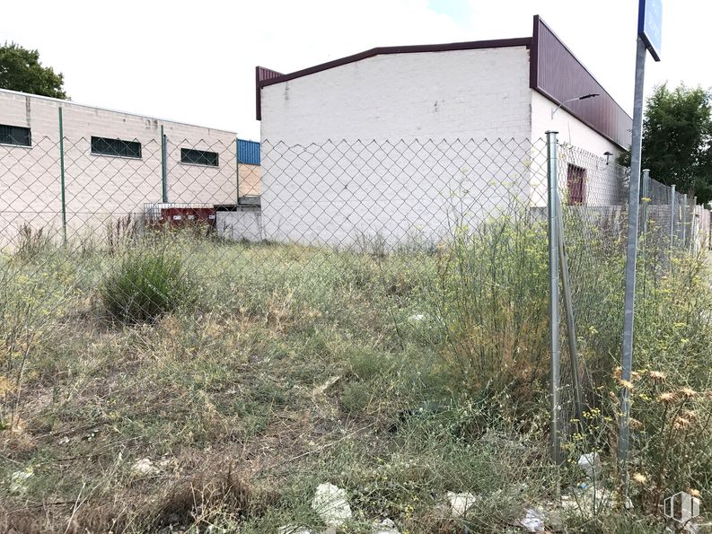 Suelo en venta en Calle Pozo, 14, Paracuellos de Jarama, Madrid, 28860 con casa, planta, propiedad, cielo, árbol, lote de tierra, vegetación, edificio, hierba y cercas de alambre alrededor