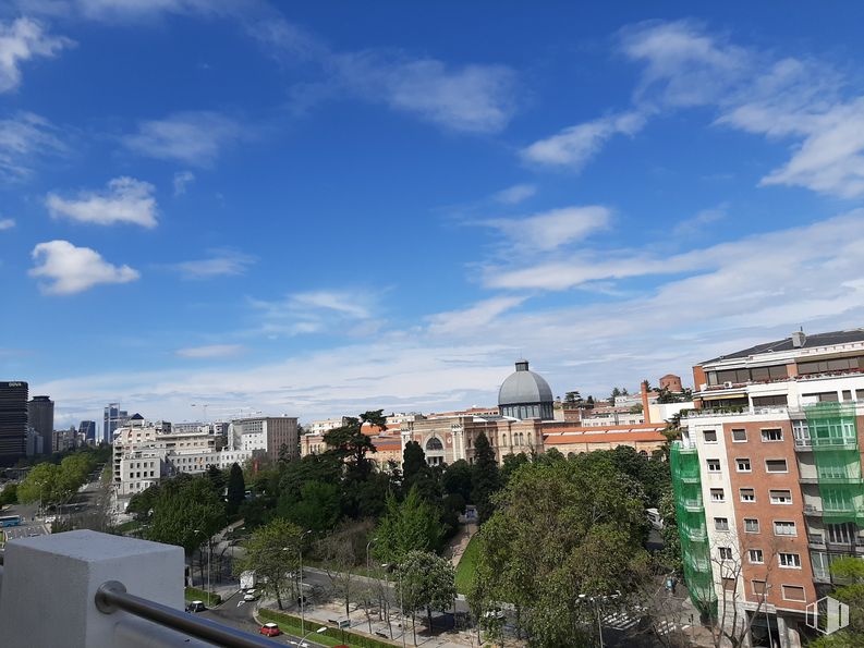 Oficina en alquiler en Paseo Castellana, 55, Chamberí, Madrid, 28046 con edificio, nube, cielo, ventana, diseño urbano, bloque de torre, árbol, accesorio, condominio y horizonte alrededor