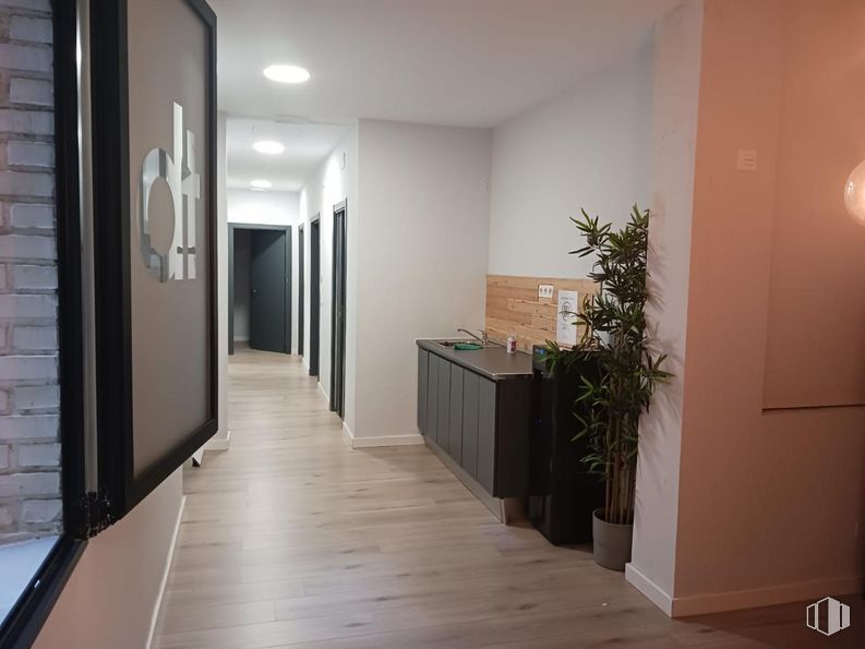 Retail for sale at Barrio Castellana, Salamanca, Madrid, 28006 with houseplant, plant, wood, building, flowerpot, hall, flooring, door, hardwood and ceiling around