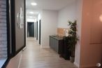 Retail for sale at Barrio Castellana, Salamanca, Madrid, 28006 with houseplant, plant, wood, building, flowerpot, hall, flooring, door, hardwood and ceiling around