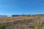 Land for sale at Calle Hermes, 1, Meco, Madrid, 28880 with grass, ecoregion, grassland, plain, land lot, plant community, steppe, prairie, field and grasses around