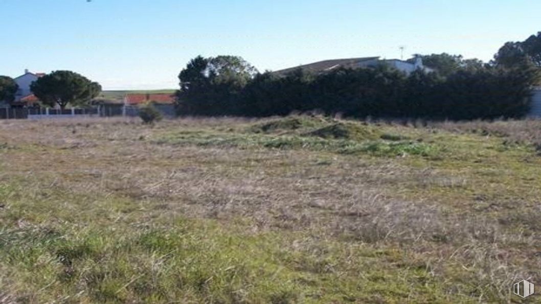 Suelo en venta en Calle Sector 47 0034 P-022, Casarrubios del Monte, Toledo, 45950 con planta, cielo, árbol, paisaje natural, paisaje, hierba, pastizal, colina, pradera y rancho alrededor