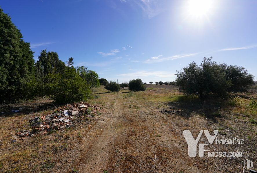 Suelo en venta en Zona polígono industrial Arboledas, Illescas, Toledo, 45200 con cielo, planta, paisaje natural, nube, árbol, hierba, vía pública, superficie de la carretera, carretera y paisaje alrededor