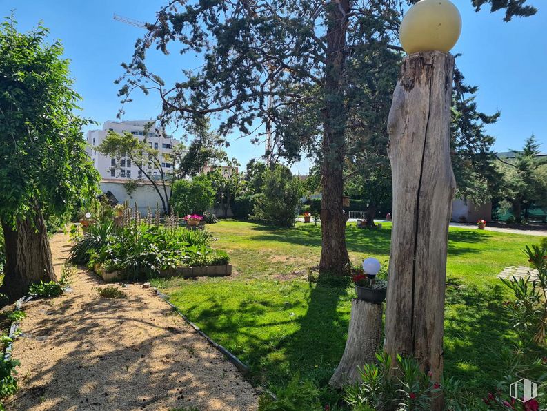 Suelo en venta en Calle Acacias, San Sebastián de los Reyes, Madrid, 28700 con bola, planta, cielo, árbol, paisaje natural, edificio, luz de la calle, vegetación, hierba y paisaje alrededor