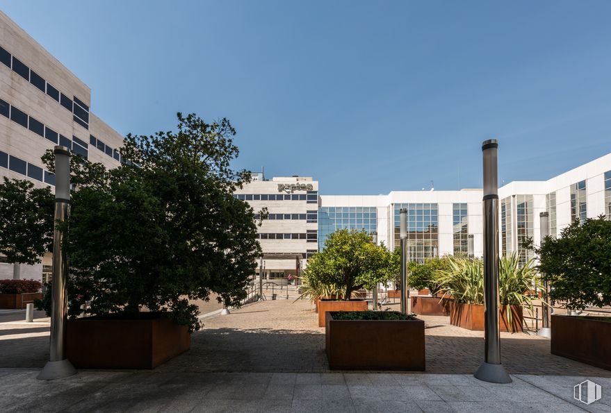 Oficina en alquiler en E 2, Calle Julián Camarillo, 29, San Blas - Canillejas, Madrid, 28037 con maceta, planta de interior, edificio, cielo, planta, propiedad, árbol, diseño urbano, espacio público y planta leñosa alrededor