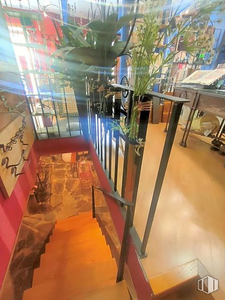 Retail for rent at Calle Nuestra Señora de Valverde, 47, Fuencarral - El Pardo, Madrid, 28034 with interior design, wood, flooring, city, facade, urban design, plant, event, ceiling and glass around