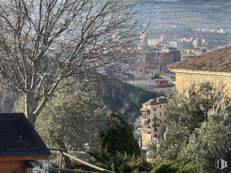 Retail for rent at Barrio del Castillo, Cuenca, 16001 with building, tree, world, sunlight, wood, twig, landscape, residential area, tints and shades and roof around