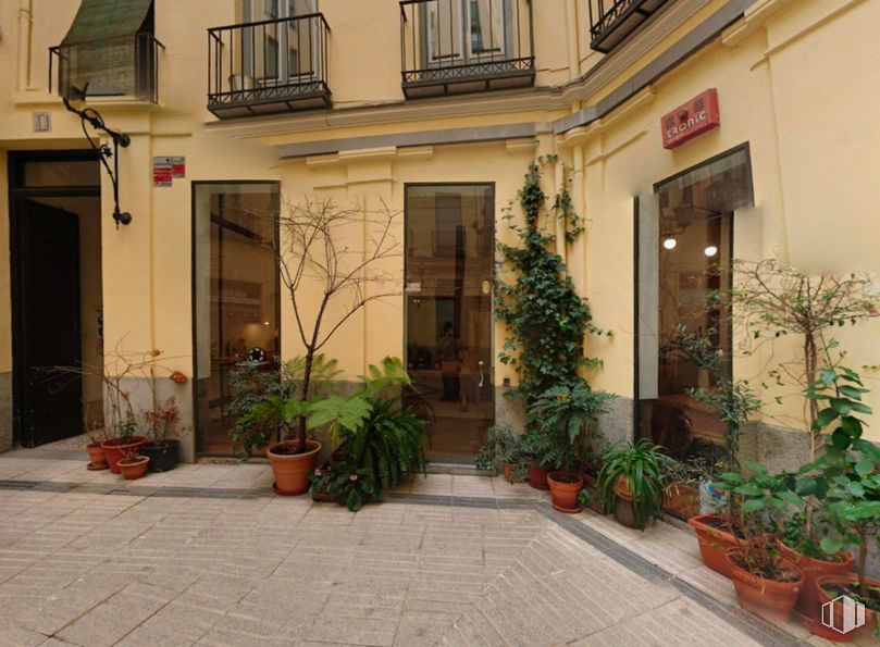 Retail for rent at Calle Conde de Romanones, 5, Centro, Madrid, 28012 with houseplant, plant, property, window, building, road surface, flowerpot, neighbourhood, flooring and wall around