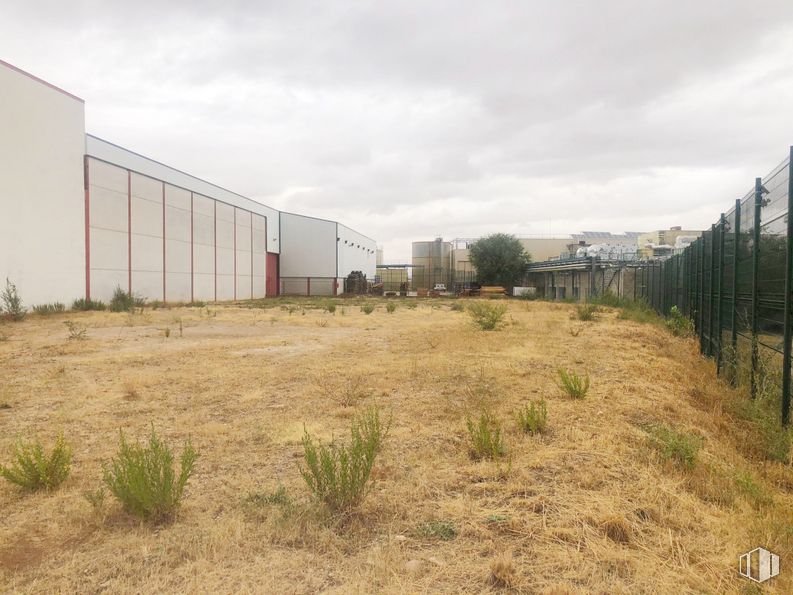 Suelo en venta en Carretera Ajalvir, Alcalá de Henares, Madrid, 28806 con edificio, planta, cielo, nube, propiedad, lote de terreno, pradera, llano, zona rural y árbol alrededor