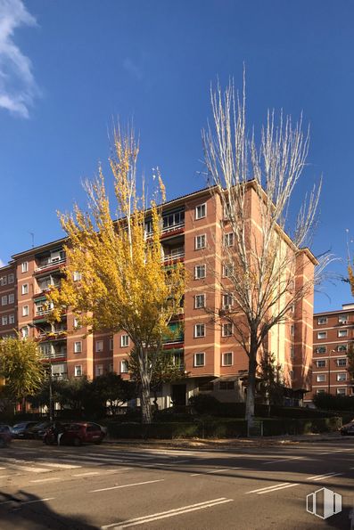 Local en venta en Calle Rodrigo de Triana, Ciudad Lineal, Madrid, 28017 con edificio, marrón, cielo, ventana, tiempo de día, rama, árbol, bloque de pisos, diseño urbano y casa alrededor