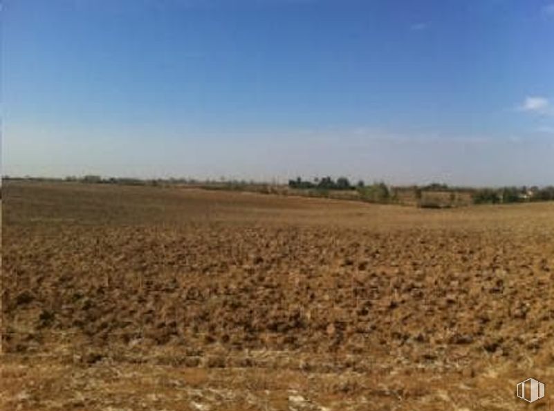 Land for sale at Polígono 9 Parcela 1, Escalona, Toledo, 16800 with sky, horizon, field, plain, soil, agriculture, steppe, plantation, prairie and dirt road around