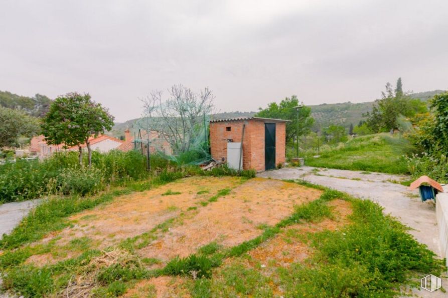 Land for sale at Calle San Roque, Valverde de Alcalá, Madrid, 28812 with plant, sky, plant community, tree, cloud, natural landscape, land lot, grass, road and grassland around