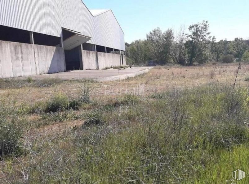 Industrial for sale at Zona Industrial, Torrejón del Rey, Guadalajara, 19174 with building, sky, plant, tree, landscape, grass, natural landscape, grassland, facade and prairie around