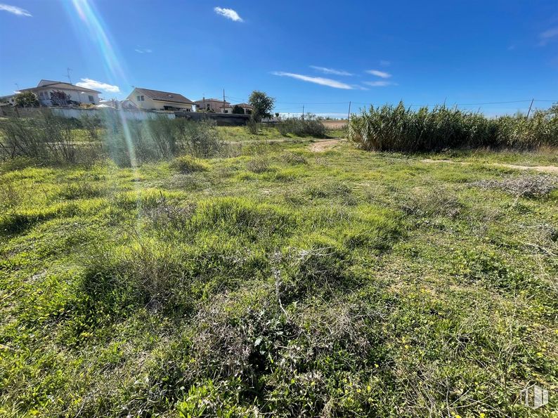 Land for sale at Calle Mártires, El Álamo, Madrid, 28607 with cloud, sky, plant, plant community, natural landscape, sunlight, land lot, grass, tree and landscape around