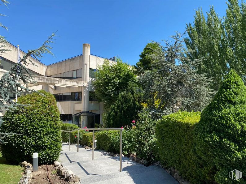 Oficina en alquiler y venta en Edificio Ecu, Calle Pollensa, 6, Las Rozas de Madrid, Madrid, 28230 con edificio, planta, cielo, vegetación, lote de terreno, barrio, diseño urbano, zona residencial, paisaje y inmobiliario alrededor