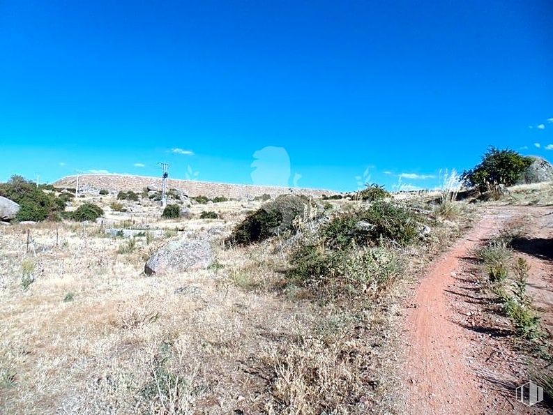 Land for sale at Zona Fuentes Claras, Ávila, 05005 with animal, plant, sky, cloud, natural environment, natural landscape, land lot, tree, grass and landscape around