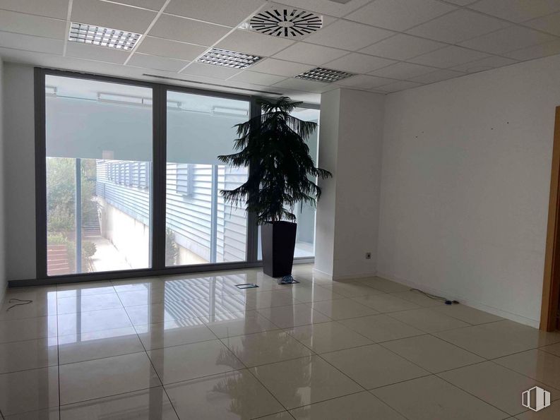 Industrial for sale & for rent at Zona Colmenar Viejo, Colmenar Viejo, Madrid, 28770 with houseplant, plant, fixture, interior design, wood, floor, flooring, shade, flowerpot and building around