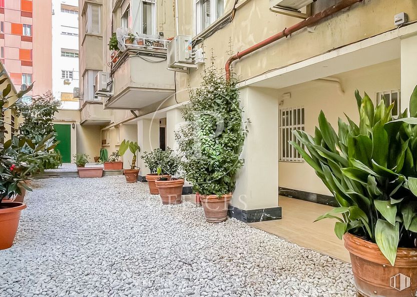 Oficina en venta en Barrio de Lista, Salamanca, Madrid, 28006 con planta de interior, maceta, planta, propiedad, edificio, ventana, superficie de la carretera, diseño urbano, pared y pavimentos alrededor