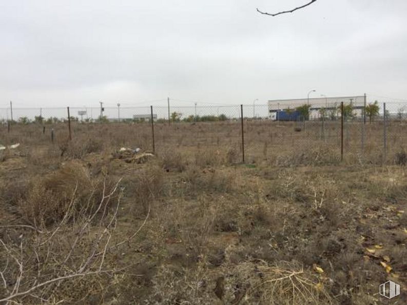 Suelo en venta en Calle Sierra de San Vicente, Illescas, Toledo, 45200 con animal, cielo, nube, planta, comunidad de plantas, ecorregión, valla, lote de tierra, cercas de alambre y vegetación alrededor