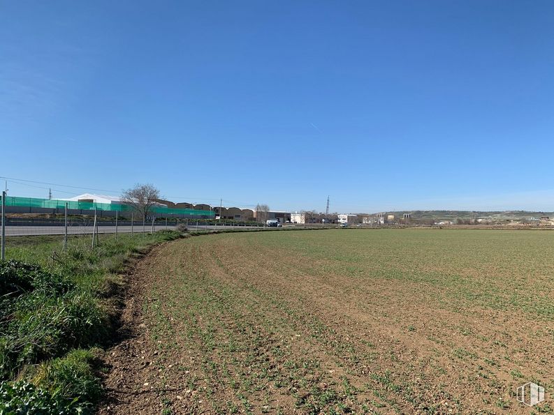 Suelo en venta en Carretera M-225, Loeches, Madrid, 28890 con cielo, planta, paisaje natural, lote de terreno, hierba, árbol, pradera, llano, agricultura y paisaje alrededor