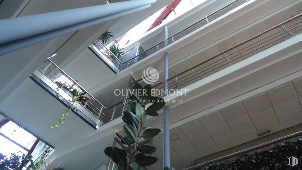 Office for rent at Zona Centro, La Latina, Madrid, 28011 with houseplant, building, escalator, city, metropolitan area, ceiling, facade, urban area, glass and commercial building around