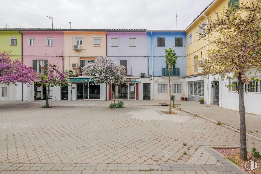 Retail for rent at Plaza Sisenando, La Latina, Madrid, 28011 with building, plant, sky, property, window, cloud, door, urban design, road surface and tree around