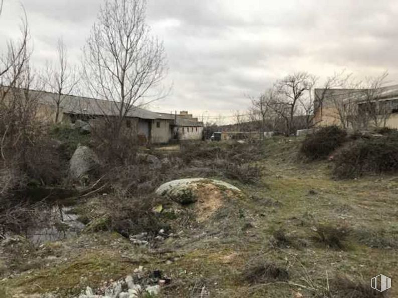 Suelo en venta en Avenida Vía Roma, Segovia, 40003 con casa, nube, planta, cielo, comunidad de plantas, paisaje natural, rama, árbol, ramita y madera alrededor