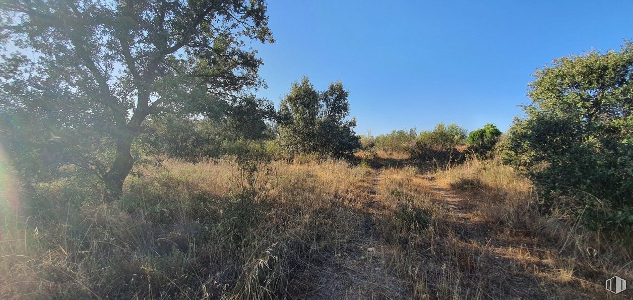 Land for sale at Urbanización Sector 1, Hormigos, Toledo, 45919 with sky, plant, natural landscape, tree, land lot, twig, shrub, grassland, landscape and plain around