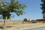 Suelo en venta en Cruz Río Sorbe, Humanes, Guadalajara, 19220 con casa, edificio, planta, cielo, ecorregión, árbol, lote de terreno, hierba, paisaje y llano alrededor