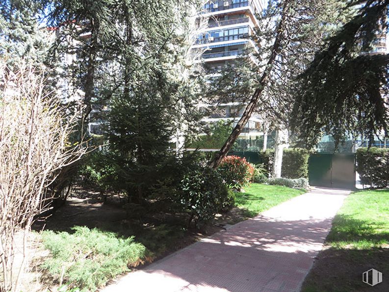 Oficina en alquiler en Calle Condado de Treviño, 9, Ciudad Lineal, Madrid, 28033 con edificio, planta, propiedad, arquitectura, superficie de carretera, árbol, barrio, área residencial, diseño urbano y sombra alrededor