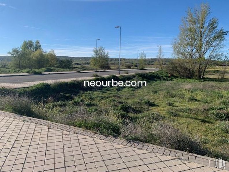 Land for sale at Calle Juan Aurelio Sánchez Tadeo, Ávila, 05002 with sky, plant, plant community, tree, cloud, natural landscape, road surface, land lot, asphalt and grass around