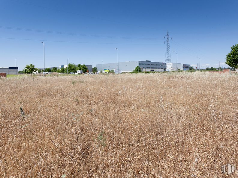 Suelo en venta en Calle Poseidón, Meco, Madrid, 28880 con cielo, planta, árbol, lote de tierra, agricultura, pastizal, llanura, hierba, prado y paisaje alrededor